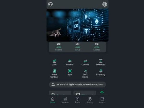 vipbitgoex.net